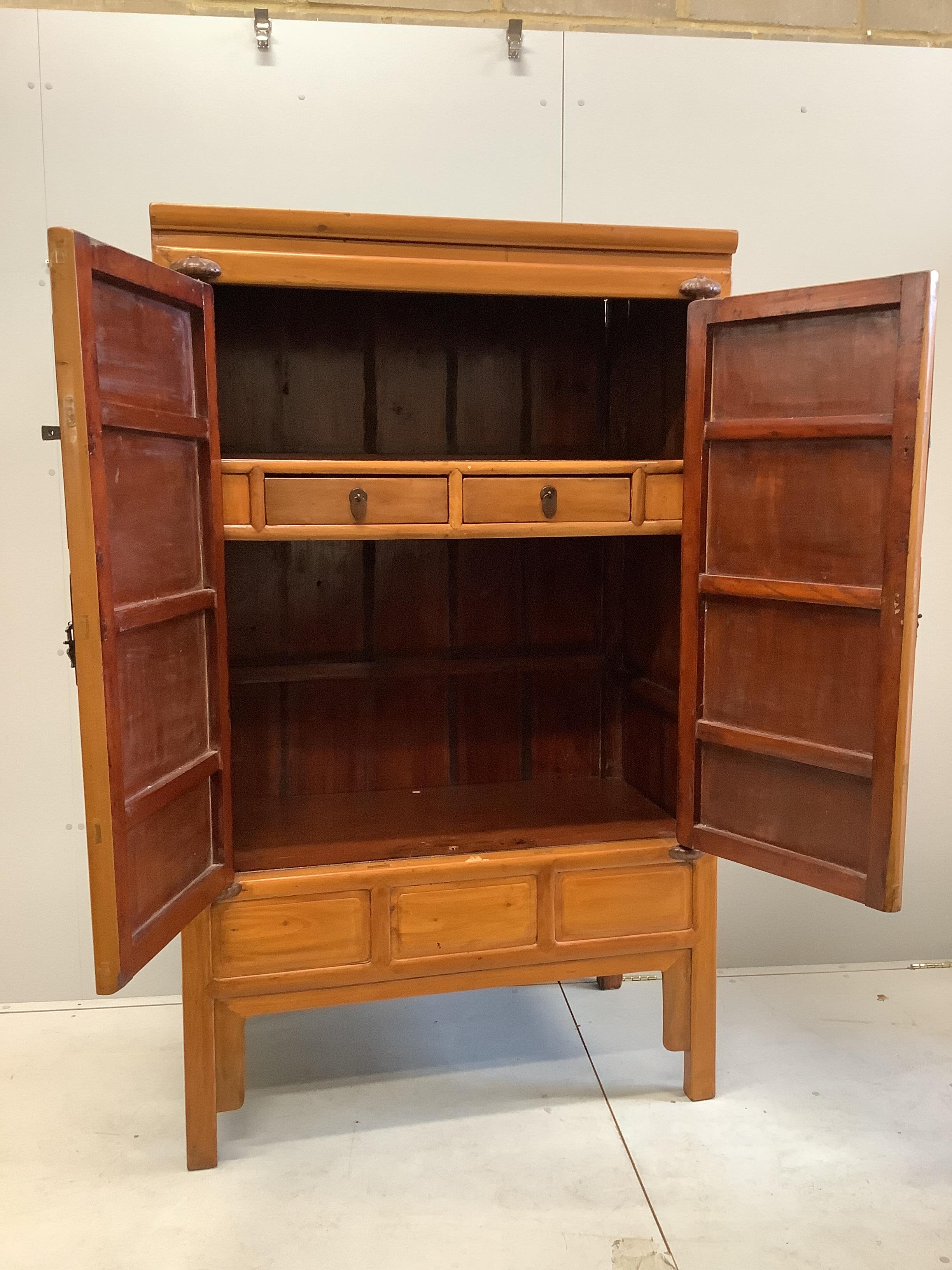 A Chinese elm cabinet, width 108cm, depth 60cm, height 177cm